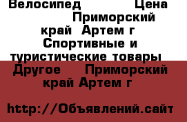 Велосипед Viva A2 › Цена ­ 14 500 - Приморский край, Артем г. Спортивные и туристические товары » Другое   . Приморский край,Артем г.